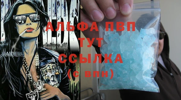 спиды Аркадак