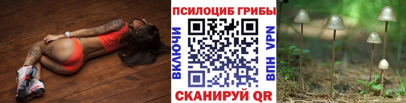 Псилоцибиновые грибы прущие грибы  Кологрив 