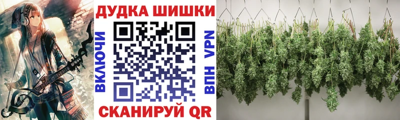 где купить наркоту  Кологрив  Каннабис план 